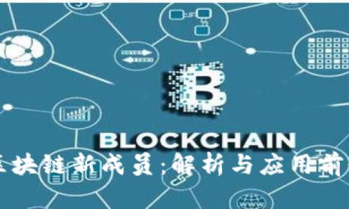 区块链新成员:解析与应用前景
