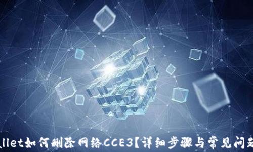 TPWallet如何删除网络CCE3?详细步骤与常见问题解析