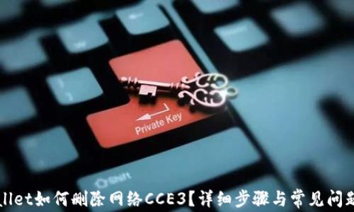 TPWallet如何删除网络CCE3?详细步骤与常见问题解析