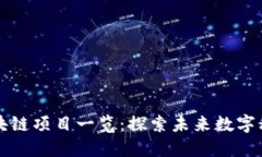 丁磊投资的区块链项目一览：探索未来
