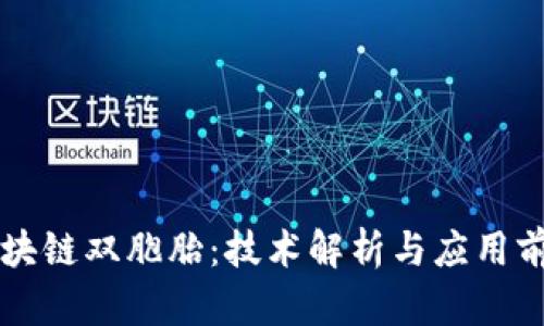 区块链双胞胎:技术解析与应用前景