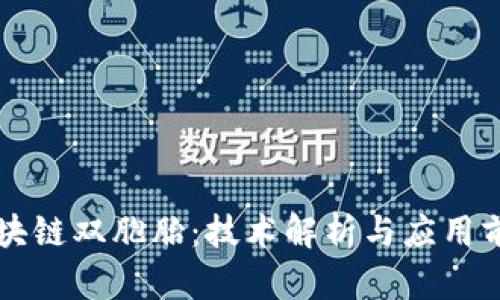 区块链双胞胎:技术解析与应用前景