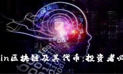 全面解析OKCoin区块链及其代币:投资者必须了解的内容