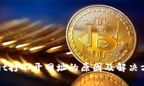 TPWallet打不开网址的原因及解决方案解析