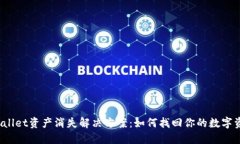 TPWallet资产消失解决方案：如何找回你