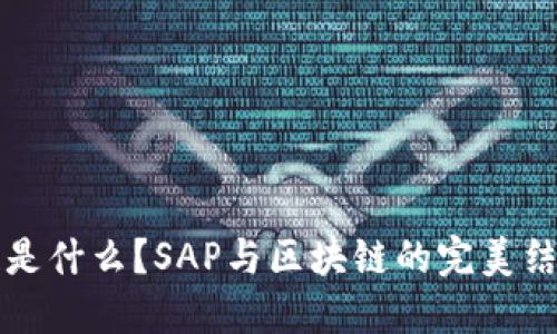 区块链是什么？SAP与区块链的完美结合探讨