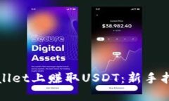: 如何在TPWallet上赚取USDT：新手指南与