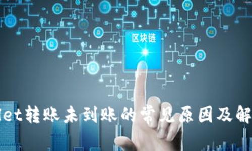 TPWallet转账未到账的常见原因及解决方案