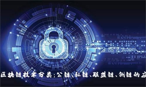 深入解析区块链技术分类:公链、私链、联盟链、侧链的应用与区别