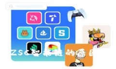 TPWallet没有ZSC智能链的原因及替代方案