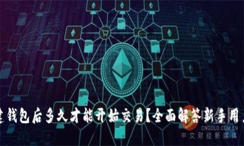 TP新建钱包后多久才能开始交易?全面解答新手用户疑问