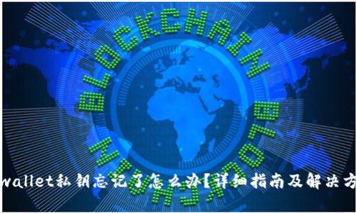 tpwallet私钥忘记了怎么办？详细指南及解决方案