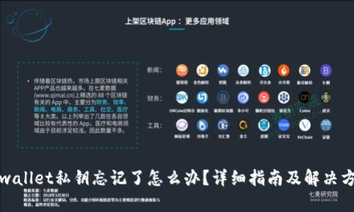 tpwallet私钥忘记了怎么办？详细指南及解决方案
