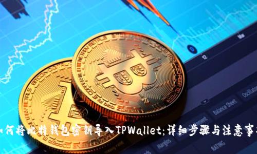 如何将比特钱包密钥导入TPWallet:详细步骤与注意事项