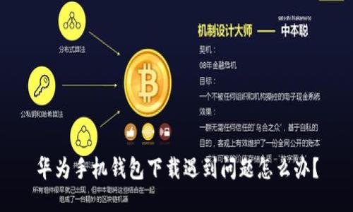 华为手机钱包下载遇到问题怎么办?