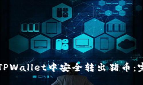 如何在TPWallet中安全转出猪币:完整指南