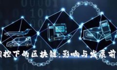 宏观调控下的区块链：影响与发展前景