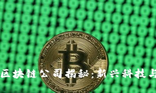 罗永浩的区块链公司揭秘:新兴科技与创业方向