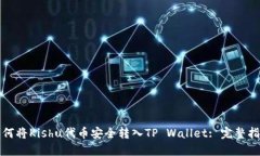如何将Kishu代币安全转入TP Wallet: 完整