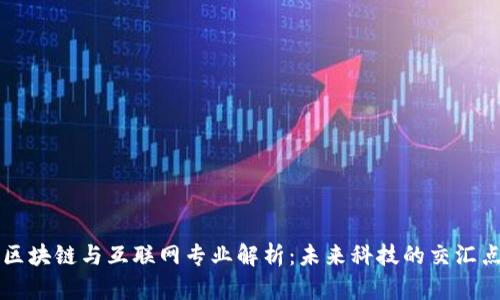 区块链与互联网专业解析:未来科技的交汇点