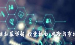 区块链私募详解：投资机会、风险与市场趋势