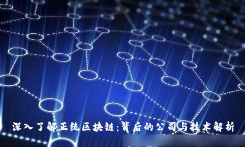 深入了解正统区块链：背后的公司与技术解析