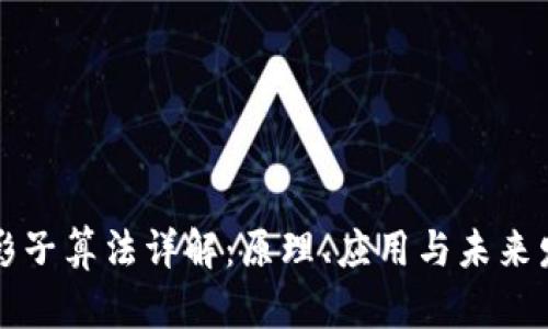 区块链影子算法详解:原理、应用与未来发展趋势