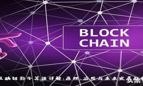 区块链影子算法详解:原理、应用与未来发展趋势