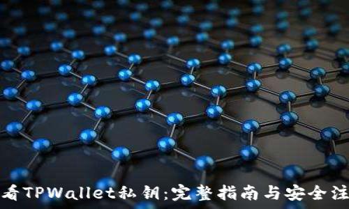 如何查看TPWallet私钥:完整指南与安全注意事项