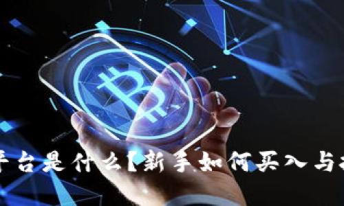 区块链平台是什么?新手如何买入与投资指南