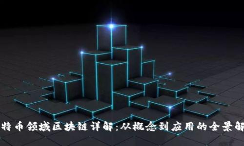 比特币领域区块链详解:从概念到应用的全景解析