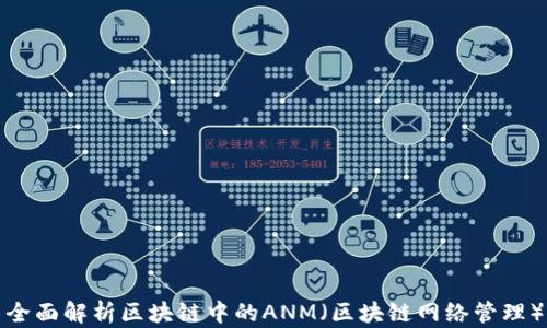 全面解析区块链中的ANM(区块链网络管理)