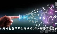 tpwallet转币打包不动会退回吗？详细解