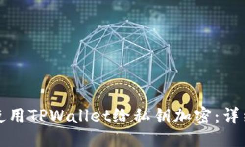 如何使用TPWallet给私钥加密:详细指南