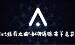 TPWallet赚钱攻略：如何通过薅羊毛获得