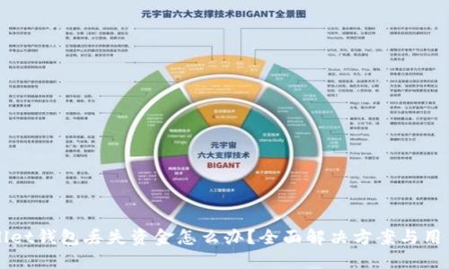 TPWallet钱包丢失资金怎么办?全面解决方案与用户指南