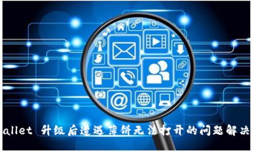 TPWallet 升级后遭遇薄饼无法打开的问题解决指南