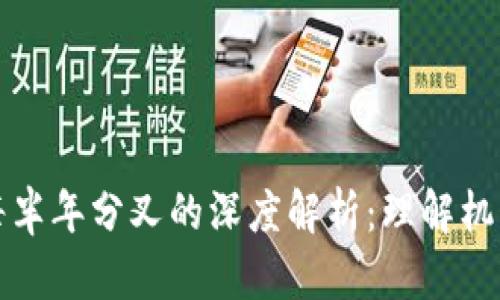 区块链每半年分叉的深度解析:理解机制与影响