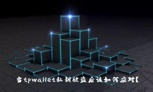 当tpwallet私钥被盗后该如何应对?