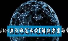 转账到TPWallet未到账怎么办？解决方案