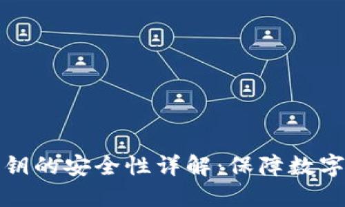 TPWallet导入私钥的安全性详解:保障数字资产安全的关键