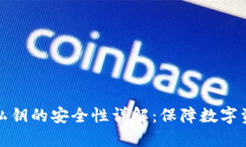 TPWallet导入私钥的安全性详解:保障数字资产安全的关键