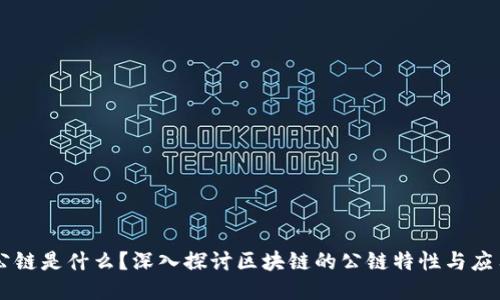 公链是什么?深入探讨区块链的公链特性与应用