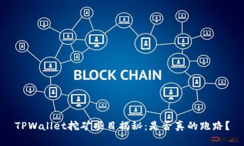 TPWallet挖矿项目揭秘:是否真的跑路?