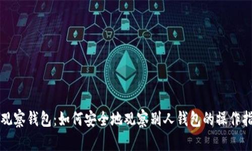 TP观察钱包:如何安全地观察别人钱包的操作指南