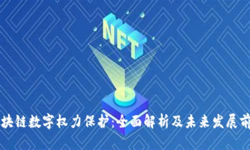 区块链数字权力保护:全面解析及未来发展前景