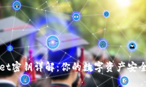 TPWallet密钥详解:你的数字资产安全守护者