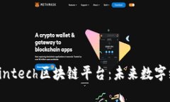深入了解Gintech区块链平台：未来数字