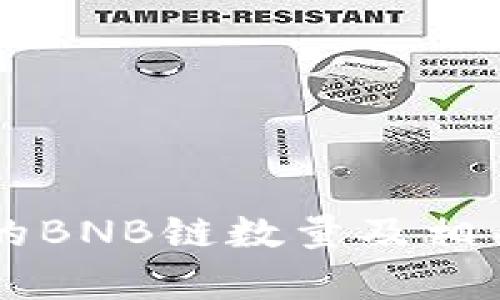 TPWallet支持的BNB链数量及相关信息全面解析