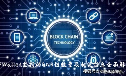 TPWallet支持的BNB链数量及相关信息全面解析